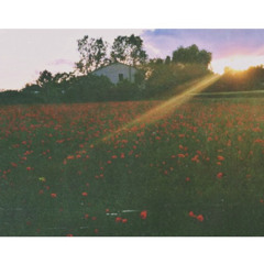 (cover) ปล่อย - Lullaby