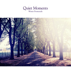 Quiet Moments - Winter Promenade