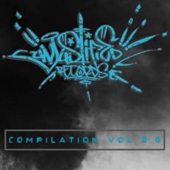 Inseg [Unjustified Records - VA 3]