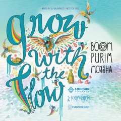 Official Promo Mix Boom purim moksha Mixed and completed by Dj Galapagos