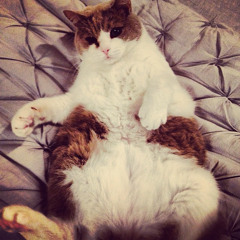 Infinity - Reload - In My Mind - Million Voices