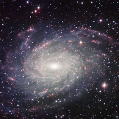 Visiones Del Estratomundo