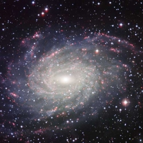 Visiones Del Estratomundo