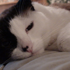 Miles Away  Feat: Top Kat