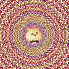 The Lysergic Kitten_Labosos Safari Moon Rework_v1