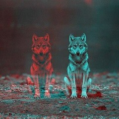 Cristhian Hoffmann- Wolves (Original Mix)