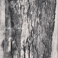 Natural Walkway -กาล EP Album