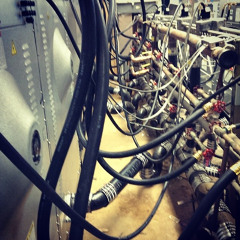 Pet Name (TMBG Cover)