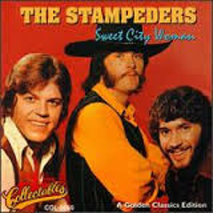 The Stampeders - Sweet City Woman (4mat Remix)