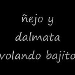 Volando Bajito - Ñejo & Dalmata
