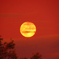 Be Kind to Yourself, Too