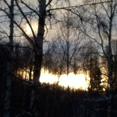 Light