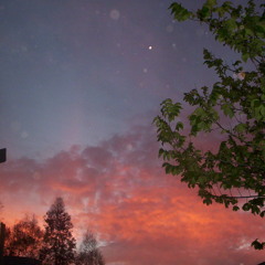 Nihilism (A House of Wolves Cover)