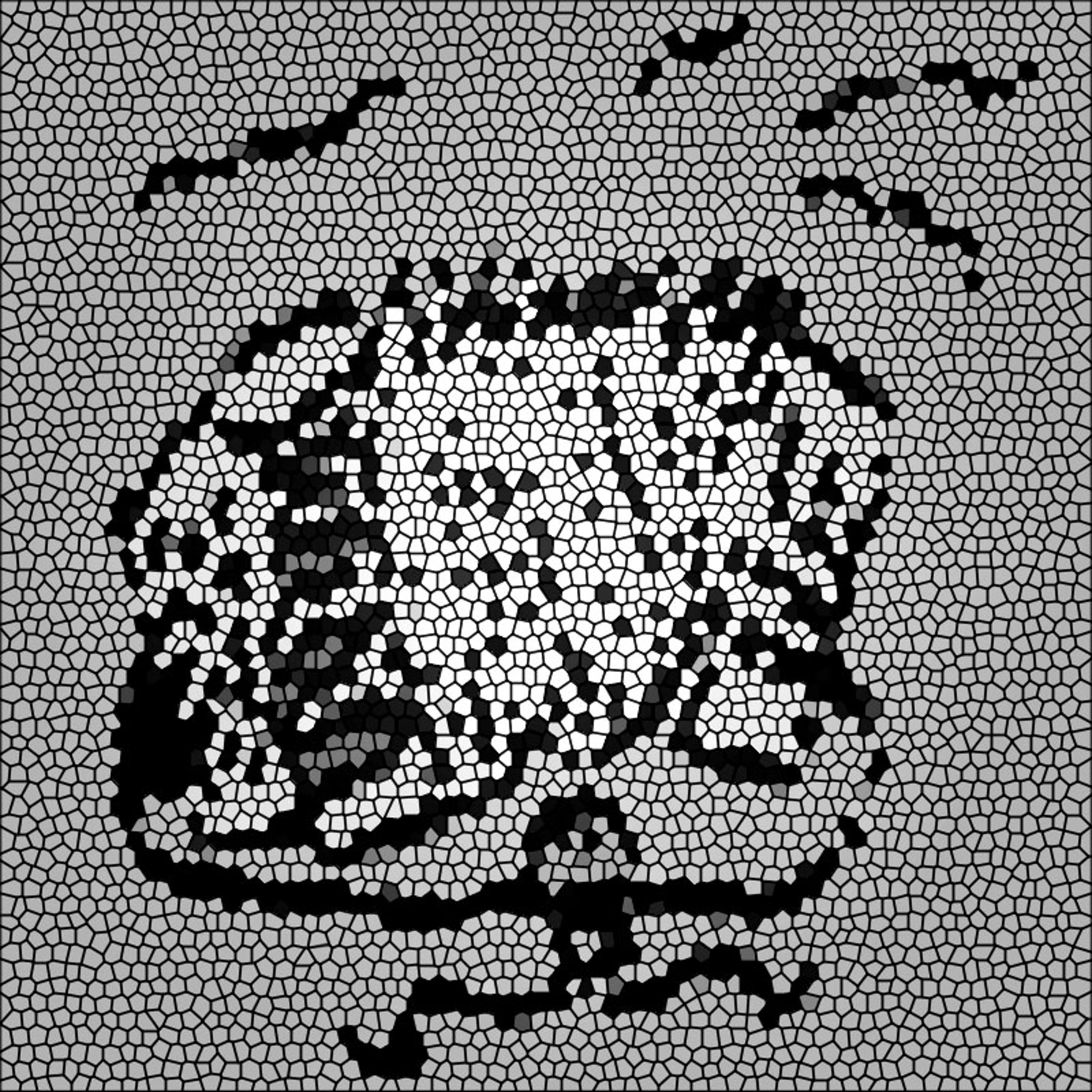 Snow Luminos