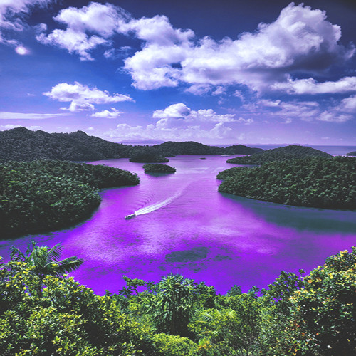 ♒Ｐｕｒｉｆｉｅｄ Ｐａｒａｄｉｓｅ♒