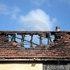 Fire on the Roof - Dill