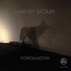 Harvey McKay - Sargon's Birth (Frankyeffe Remix)(Soma395d)