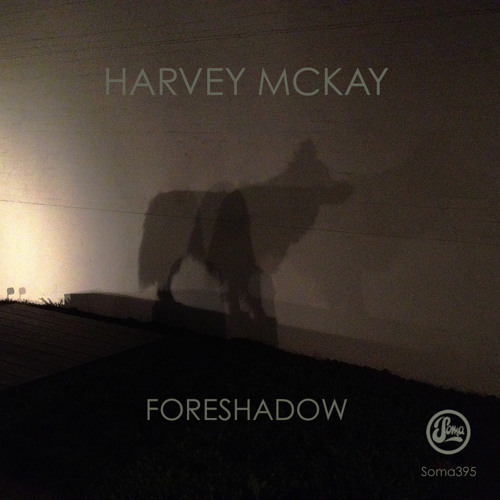 Harvey McKay - Sargon's Birth (Frankyeffe Remix)(Soma395d)
