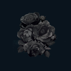 Basic Soul Unit - Black Ice (Deetron Re-edit)