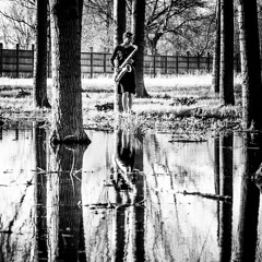 Put Your Hands Together