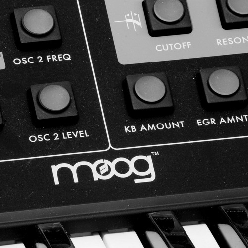 POSITIF SYNTH SCHOOL vol. 11: Siriusmo's Dr. Beak on a Moog Little Phatty