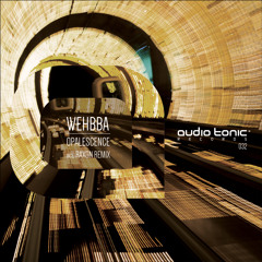 Wehbba - Opalescence (Intro Mix) audio tonic Records [PREVIEW]