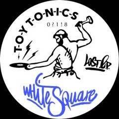 Whitesquare - Lost (NT89 remix) [TOYTONICS] on RINSE FM