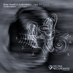 Audiomission & Bass Sheriff- Hear the sound  [D9REC015]