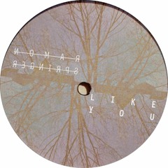 Ramon Springer - Like You