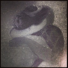 Lodown presents: Fink 'Horizontalism'