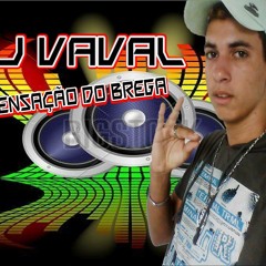 Dj Vaval - Mc Vertinho - Você Quer
