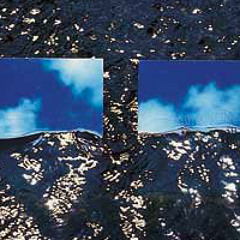 SD127. Gavrilius - Trusted Weather