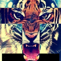 Animal (Prod. by Superstar- O)