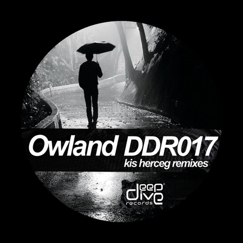 DDR017 | 02. Owland - A Kis Herceg (D.M.P Good Children Remix)