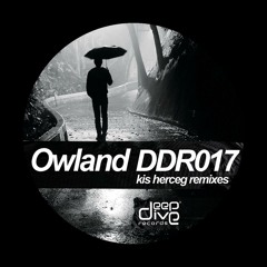 DDR017 | 03. Owland - A Kis Herceg (Daniel Cleaver Remix)