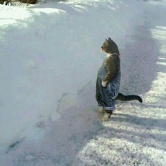 CatRap - *veryrough#