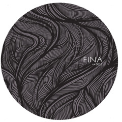 FINA015 - Borrowed Identity - 'Roboto Moves' (edit)