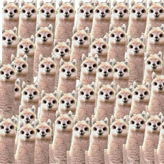 Alpacalypse