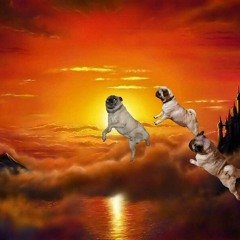 Spectora Bsides - unassisted takeoff