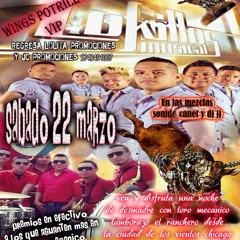 POTRILLOS VIP LOKILLOS Y TORO MECANICO SABADO 22 2014