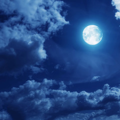 Night