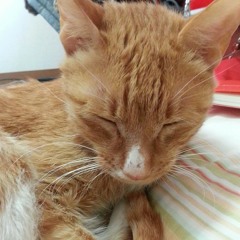 내게 눈키스를 해죠 at 늦잠잔날 내방