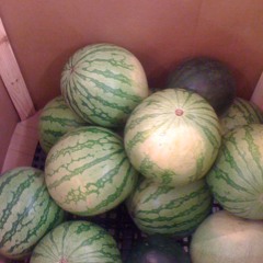 80 BPM Loop (WIP / Tease)