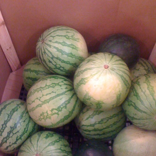 80 BPM Loop (WIP / Tease)