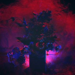 Gleemer ~ Tooms