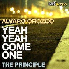 Alvaro Orozco - The Principle (Original Mix)