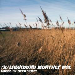 /r/Liquiddnb official monthy mixes