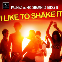 A5 Palmez Vs Mr. Shammi & Nicky B - I Like To Shake It (Barattini mix)