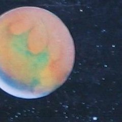 I Am a UFO - Slick Dust