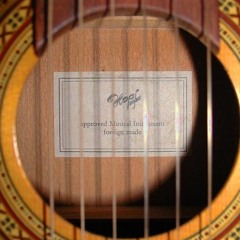 "Mayday" - Acoustic Guitar Solo